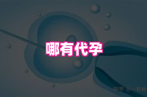 武汉助孕网站 1