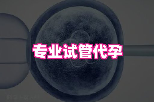 武汉助孕网站 2