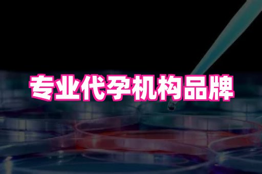 武汉助孕网站 3